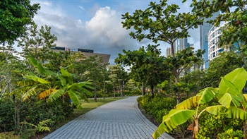 Attractive tree avenues on gentle landform offer good connectivity and accessibility to other parts of the park.<br /><br />The landscape design uses a variety of planting, lawn areas and landforms to create a series of spaces within the park.